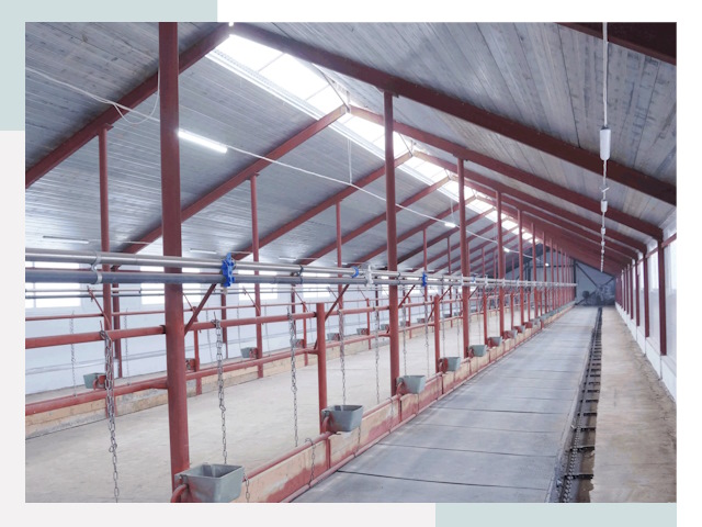 Строительство коровников в Рыбинске от 624 руб.