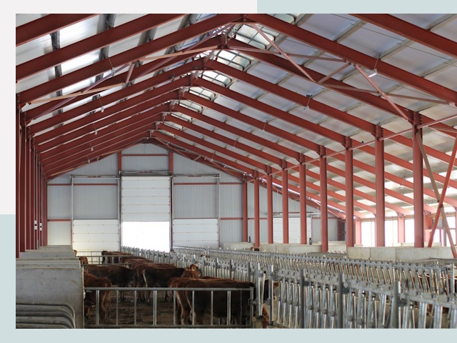 Строительство коровников в Рыбинске