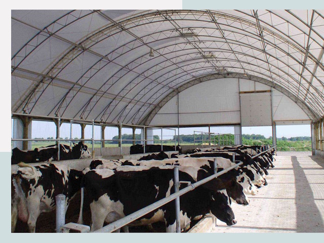 Тентовые коровники в Рыбинске